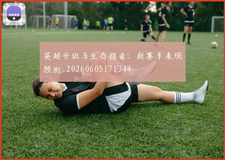 英超升班马生存指南:新赛季表现预测_20260605171344