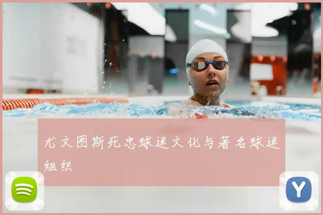 尤文图斯死忠球迷文化与著名球迷组织