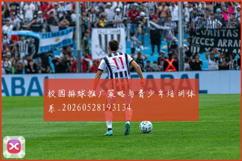 校园排球推广策略与青少年培训体系_20260528193134